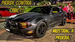 Lo malo de Ford Mustang: SON MUY LENTOS! | HugoValo Autos