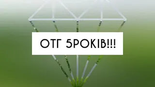 "Вітай на всі 5!" «Солонянська публічна бібліотека» Солонянської селищної ради