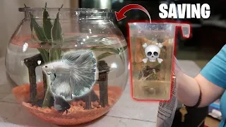 SAVING *BLIND* BETTA FISH From PETSMART!! (rescue mission)