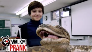 Pet Snake | Walk the Prank | Disney XD