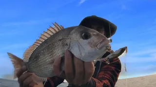 Trolling for snapper port phillip bay EP - 17