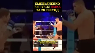 Александр Емельяненко уничтожил БЫКА за 28 секунд  #мма  #емельяненко