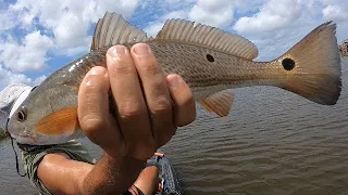 Golden Meadow & Grand Isle Louisiana Fishing - May, 2021