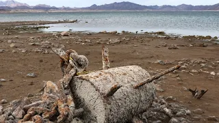 Was Wir Bisher Über Die Leichen Im Lake Mead Wissen