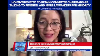 Hontiveros eyed to retain committee chairmanship