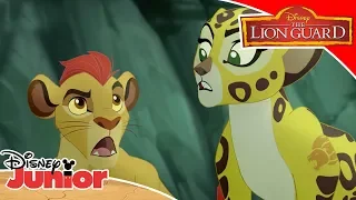 Exploring the Secret Cave 😯| The Lion Guard | Disney Junior Arabia