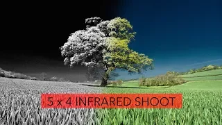 5x4 Infrared film shoot