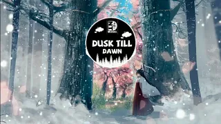 Dusk Till Dawn (ДбкПя Remix) | Nhạc gây nghiện trên Tiktok Trung Quốc | Douyin Music