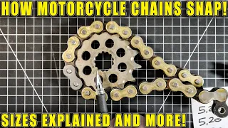 How Motorcycle Chains SNAP! + Sizes Explained!