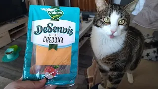 Delaco DeSendvis - cheddar - taste test