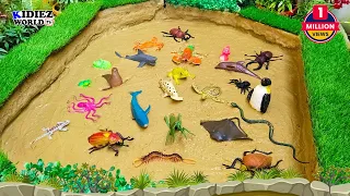 Learn Sea Animals Wild Animals Safari Animals Insects Names & Sounds in English For Toddlers