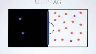 P.E. Games - Sleep Tag