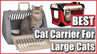 ✅Best Cat Carrier for Large Cats (Top 5 Reviewed)