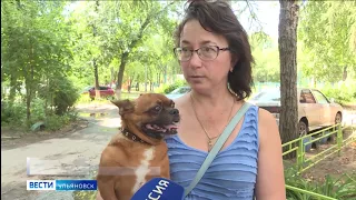 В передвижных медпунктах завершилась акция по бесплатной вакцинации домашних животных от бешенства.