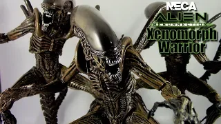 NECA: Alien Resurrection: Xenomorph Warrior Review