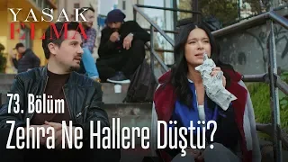 Zehra ne hallere düştü? - Yasak Elma 73. Bölüm