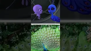 Kwamis in real life Duusu - Peacock | Miraculous Ladybug #Shorts