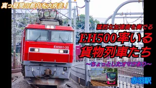 【EH500 金太郎】【貨物列車】真っ昼間の都内を大疾走！ 猛烈な加速音を奏でる EH500率いる貨物列車たち 2021年6月2日 赤羽駅