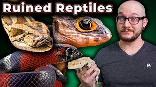 5 Reptiles That YouTubers Have Destroyed Forever!