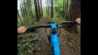 Lunch Laps in the PNW