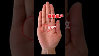 可以继承祖产的豪宅纹，天生就是富贵命 #手相 #命理