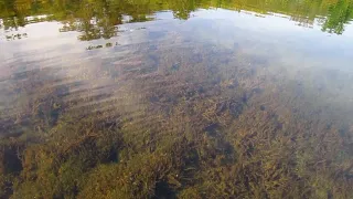 S08E37-  This lake is Way Too Clear (Can see Down to Bottom in 30 Feet)