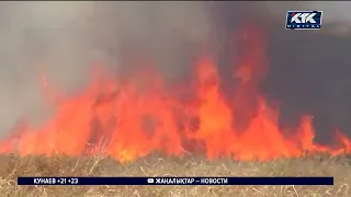 Спасти аул в Восточном Казахстане помог космический мониторинг