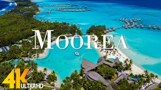 Moorea 4K - Scenic Relaxation Film With Inspiring Cinematic Music and  Nature