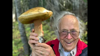 Dr. Micheal Beug talks about the history and uses of Psilocybin for COMC April '22 meeting