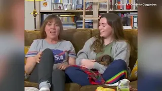 Video Lorraine Kelly labelled 'filthy' by daughter Rosie on Gogglebox debut