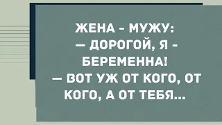 - Дорогой, я беременна! Смех! Юмор! Позитив!