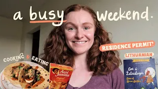 Vilnius Vlogs | getting my residence permit, cooking, & running errands