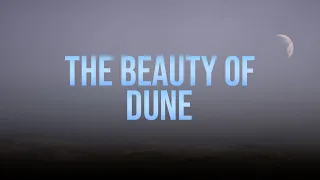 The Beauty Of Dune