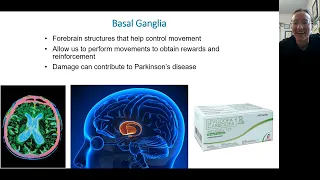 Ch 3. Biological psychology (lecture 4 of 4): MTA PSYC 1001: Week 5, Class 1