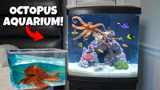 I Built my Dream OCTOPUS Aquarium!!