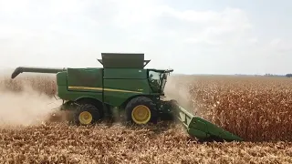 Mississippi Delta corn harvest is a GO!