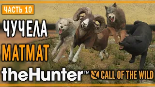 theHunter Call of the Wild #10 🐺 - Оскаленные Клыки - Кoмпозиции из Чучeл