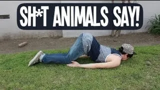 SH*T ANIMALS SAY!