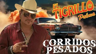 El Tigrillo Palma Corridos Pesados Mix