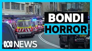 Shock, terror as multiple killed in Bondi Junction stabbing attack | ABC News