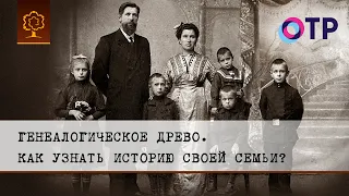 Как узнать историю своей семьи | Международный Генеалогический Центр на канале ОТР