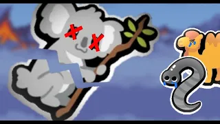 Koala Is Broken....Again.... - Super Auto Pets