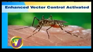 TVJ Midday News: Spike in Suspected Dengue Cases in Jamaica - August 19 2019