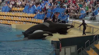 The Orca Show at Loro Parque / Tenerife