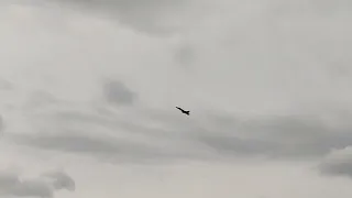 Dny NATO Days 2022 - Finnish Air Force - F-18 Hornet Display