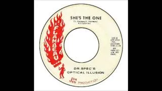 Dr Spec's Optical Illusion - She's The One