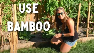 Cheap Bamboo Garden Fence | Keep Dogs Out | DIY How To Tutorial