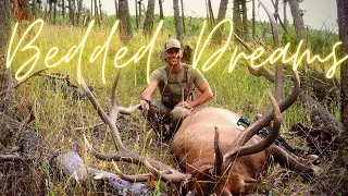 BEDDED DREAMS | Giant 7x7 380"+ Montana Archery Bull Elk Hunt