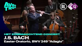 Bach: Easter Oratorio, BWV 249 "Adagio" - Alexei Ogrintchouk & Sinfonietta Rīga - Live concert HD