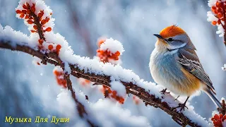 Волшебная музыка зимы! Одна из самых красивых, волшебных зимних мелодий!  Падал снег